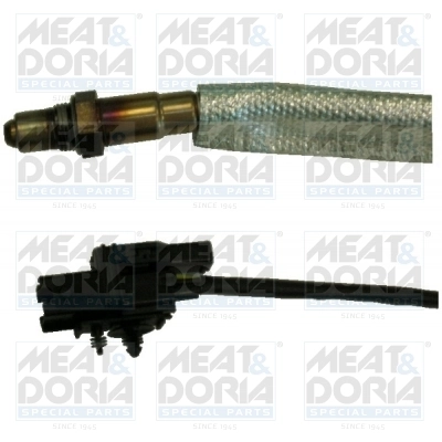 Oxygen Sensor